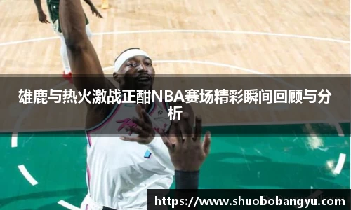 雄鹿与热火激战正酣NBA赛场精彩瞬间回顾与分析