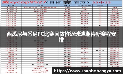 西悉尼与悉尼FC比赛因故推迟球迷期待新赛程安排